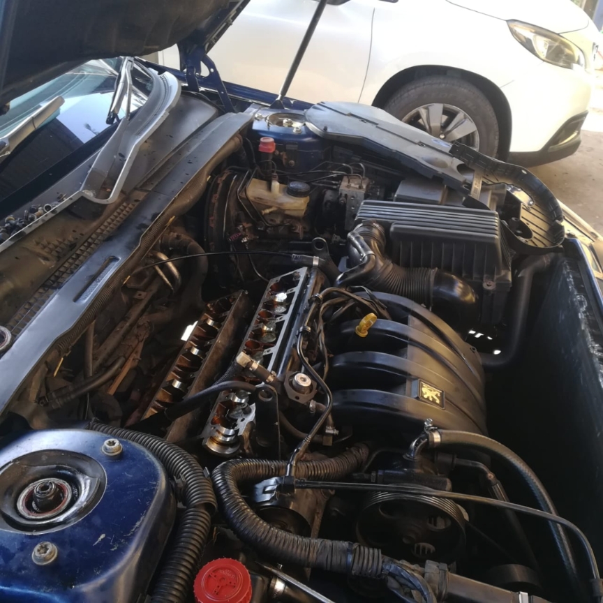 Lion Car Motors